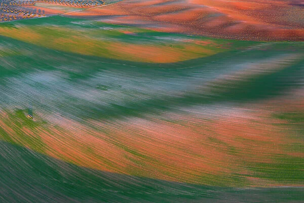 Aerial view of wheat seedlings pushing through strips of bare, cultivated land in spring, turning the landscape green. Toledo, Castilla-La Mancha, Spain