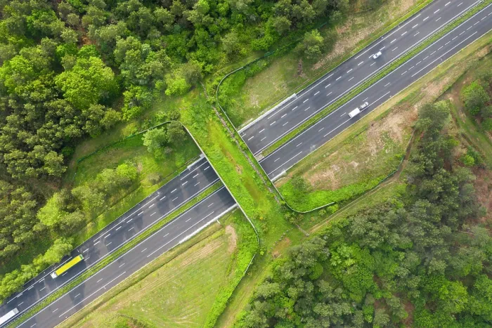 Framed Print : Aerial view of a wildlife crossing over the A10 highway, built in 2012, it is the most used by Red deer (Cervus elaphus) in France, Charente-Maritime, France. May, 2019 Framed Print : Aerial view of a wildlife crossing over the A10 highway, built in 2012, it is the most used by Red deer (Cervus elaphus) in France, Charente-Maritime, France. May, 2019