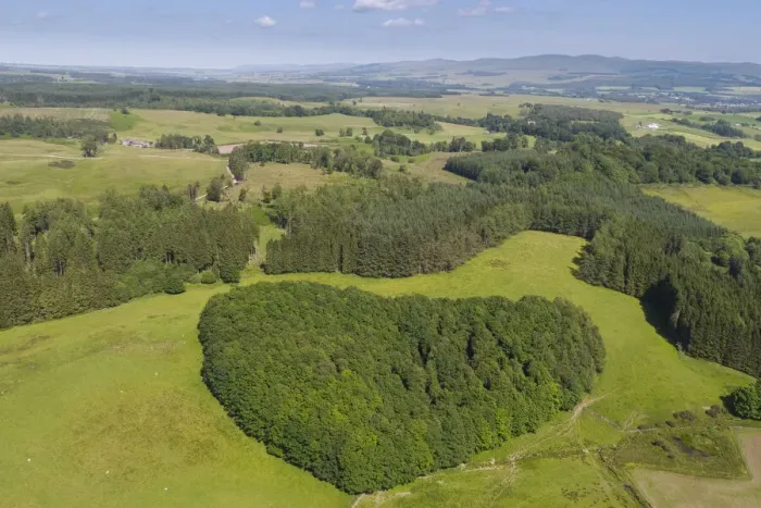 Framed Print : Aerial view of woodland, Argaty Red Kites farm, Stirling, Scotland, UK. July, 2021 Framed Print : Aerial view of woodland, Argaty Red Kites farm, Stirling, Scotland, UK. July, 2021