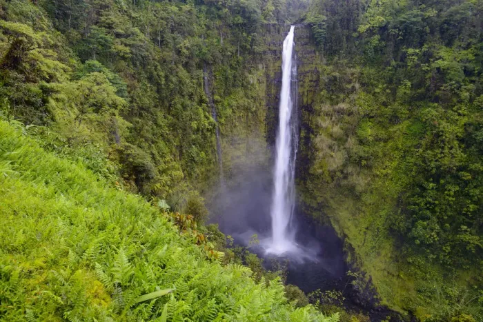 Framed Print : Akaka falls (422 foot) surrounded by vegetation, (much of which is non-native) Akaka Framed Print : Akaka falls (422 foot) surrounded by vegetation, (much of which is non-native) Akaka
