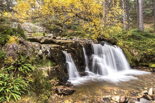Allt Fhearnagan waterfall in autumnal woodland, Glenfeshie, Cairngorms National Park, Scotland, UK. October, 2019