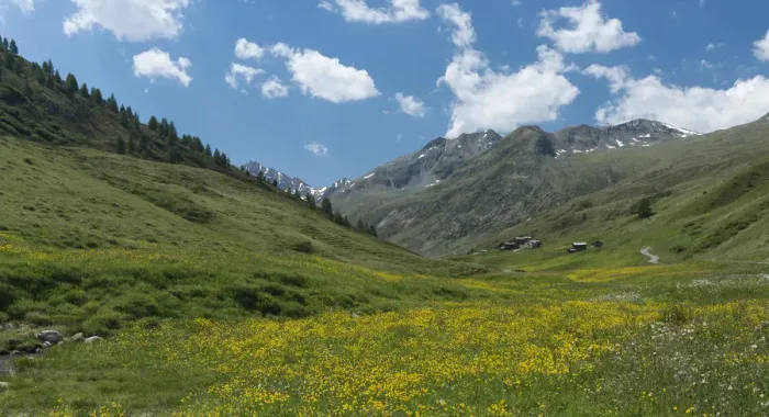 Framed Print : Alpine landscape, Colombina-Somarin, Italy, June 2017 Framed Print : Alpine landscape, Colombina-Somarin, Italy, June 2017