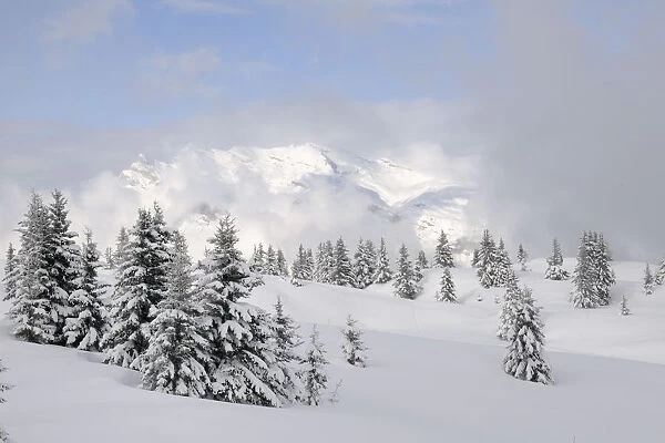Alpine landscape after fresh snow, Hauteluce, Haute-Savoie, France, February 2013