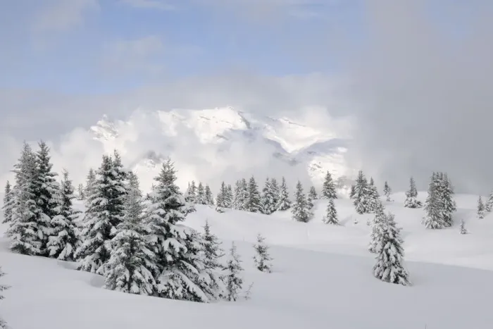 Framed Print : Alpine landscape after fresh snow, Hauteluce, Haute-Savoie, France, February 2013 Framed Print : Alpine landscape after fresh snow, Hauteluce, Haute-Savoie, France, February 2013