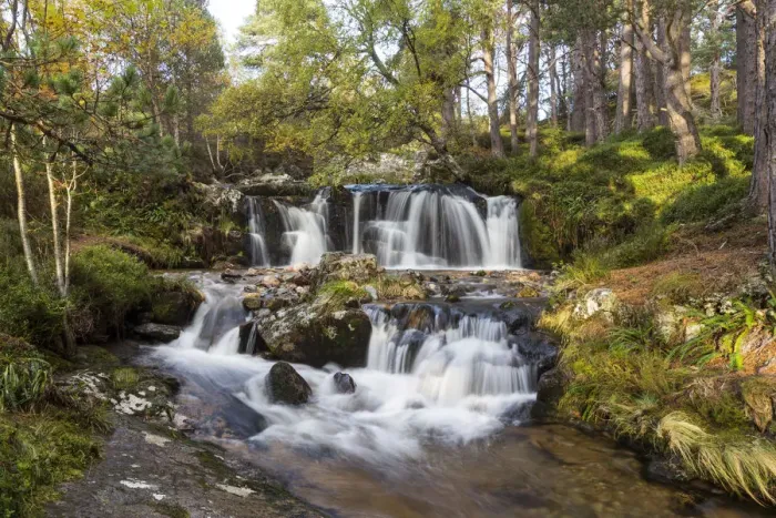 Framed Print : Alt Ruadh river flowing through woodland, Glenfeshie, Cairngorms National Park, Scotland Framed Print : Alt Ruadh river flowing through woodland, Glenfeshie, Cairngorms National Park, Scotland