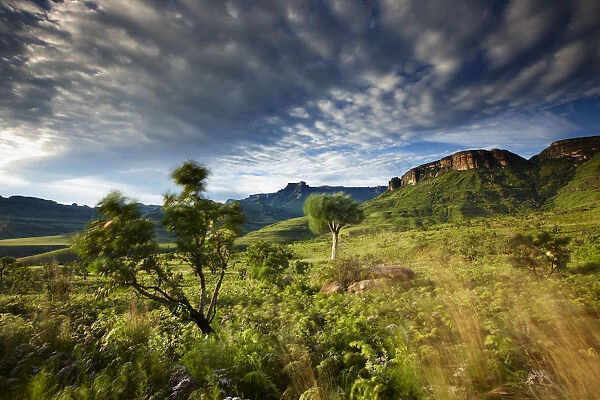The Ampitheatre, Royal Natal National Park, Drakensberg Mountains, KwaZuluNatal