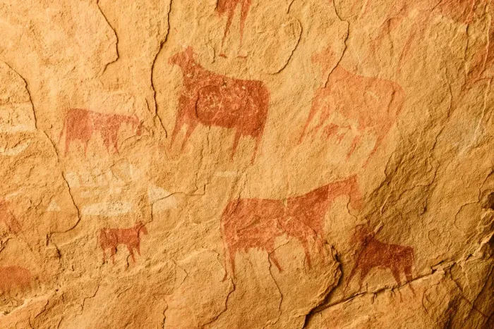 Framed Print : Ancient cave paintings depicting cattle. Ennedi Natural and Cultural Reserve Framed Print : Ancient cave paintings depicting cattle. Ennedi Natural and Cultural Reserve