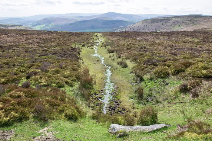 Framed Print : Ancient spring on Hatterall Hill flowing through heather moorland, the Sugar Loaf in the background, Black Mountains, Brecon Breacons  /  Bannau Brycheiniog National Park, Wales