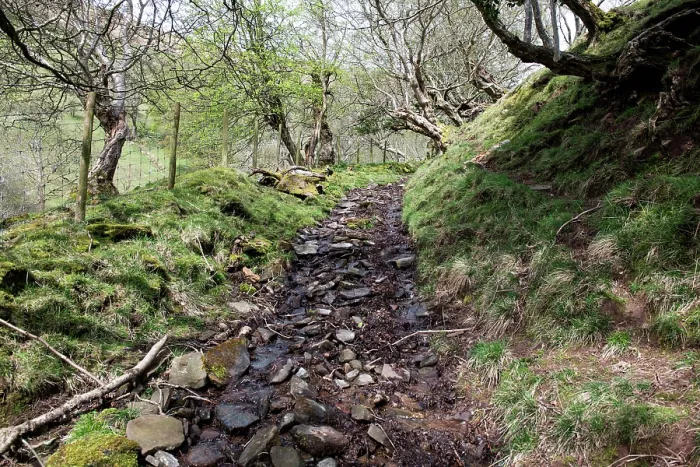 Framed Print : Ancient trackway turned into a stream due to the high water table, Hatterall Hill, Black Mountains, Brecon Beacons / Bannau Brycheiniog National Park, Wales, UK. April, 2024 Framed Print : Ancient trackway turned into a stream due to the high water table, Hatterall Hill, Black Mountains, Brecon Beacons / Bannau Brycheiniog National Park, Wales, UK. April, 2024