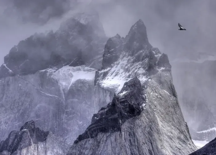 Framed Print : Andean condor (Vultur gryphus) in flight over mountain peaks, Torres Del Paine National park, Chile Framed Print : Andean condor (Vultur gryphus) in flight over mountain peaks, Torres Del Paine National park, Chile