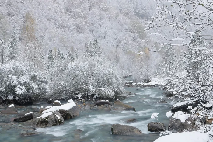 Framed Print : Arazas river flowing through frost-covered forest, Ordesa Valley, Ordesa and Monte Perdido National Park, Pyrenees, Spain. November, 2023