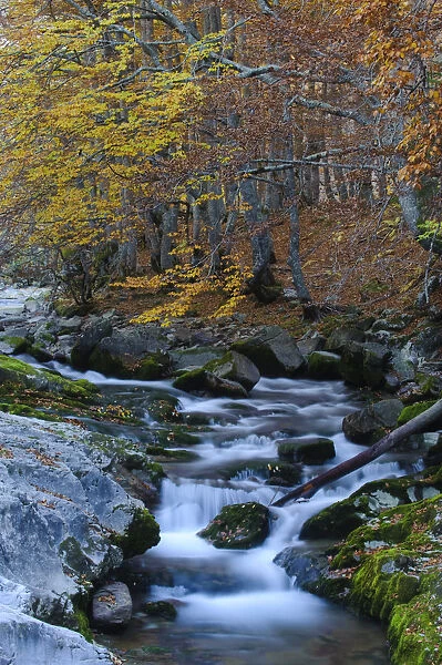 Arazas river in Ordesa y Monte Perdido National Park, Pyrenees, Aragon, Spain