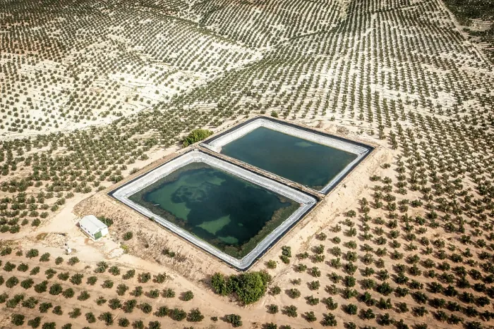 Framed Print : Artificial water ponds (dangerous for wildlife) among intensive olive tree plantations, Jaen district, southern Spain. October, 2023 Framed Print : Artificial water ponds (dangerous for wildlife) among intensive olive tree plantations, Jaen district, southern Spain. October, 2023