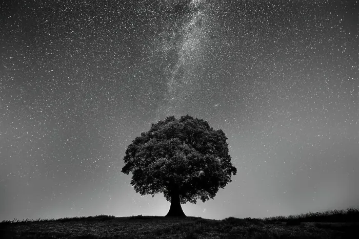 Framed Print : Astrophotography- English Oak Tree (Quercus robur) under stars of the Milky Way, Brecon Beacons National Park, International Dark Sky Preserve, Monmouthshire, Wales, UK, August Framed Print : Astrophotography- English Oak Tree (Quercus robur) under stars of the Milky Way, Brecon Beacons National Park, International Dark Sky Preserve, Monmouthshire, Wales, UK, August