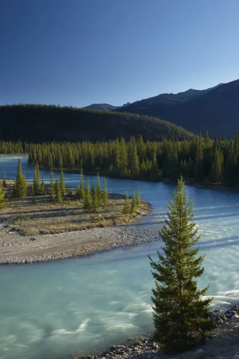 Framed Print : Athabasca River near Jasper, Jasper National Park, Alberta, Canada. September 2009 Framed Print : Athabasca River near Jasper, Jasper National Park, Alberta, Canada. September 2009