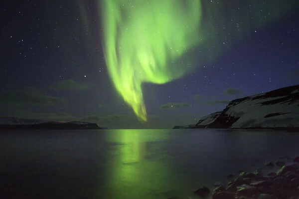 Aurora Borealis and coastline at Hornstrandir, Iceland. April 2016