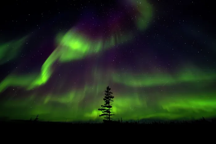 Framed Print : Aurora borealis lighting up the night sky above the tundra, near Churchill, Manitoba, Canada. August, 2024 Framed Print : Aurora borealis lighting up the night sky above the tundra, near Churchill, Manitoba, Canada. August, 2024