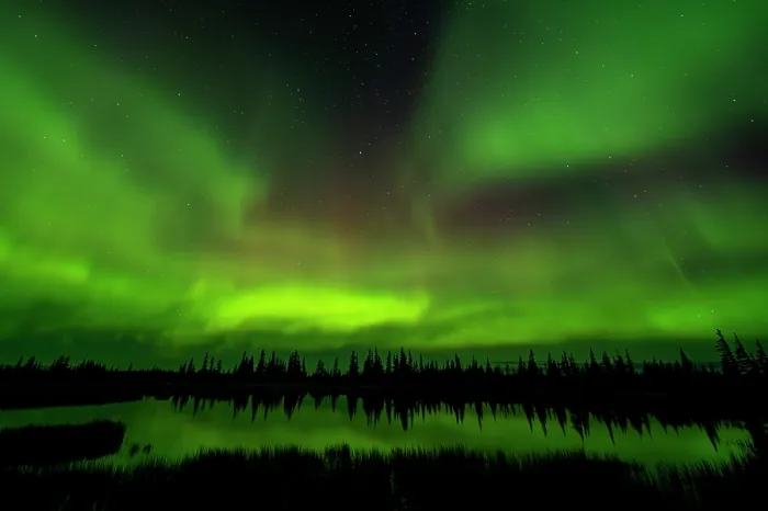 Framed Print : Aurora borealis lighting up the night sky above the tundra, near Churchill, Manitoba, Canada. August, 2024 Framed Print : Aurora borealis lighting up the night sky above the tundra, near Churchill, Manitoba, Canada. August, 2024