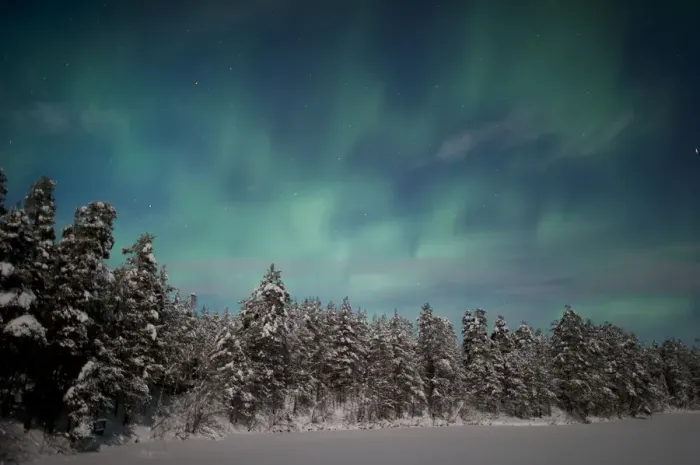 Framed Print : Aurora Borealis over snowy pine forest, Finland. February 2011 Framed Print : Aurora Borealis over snowy pine forest, Finland. February 2011