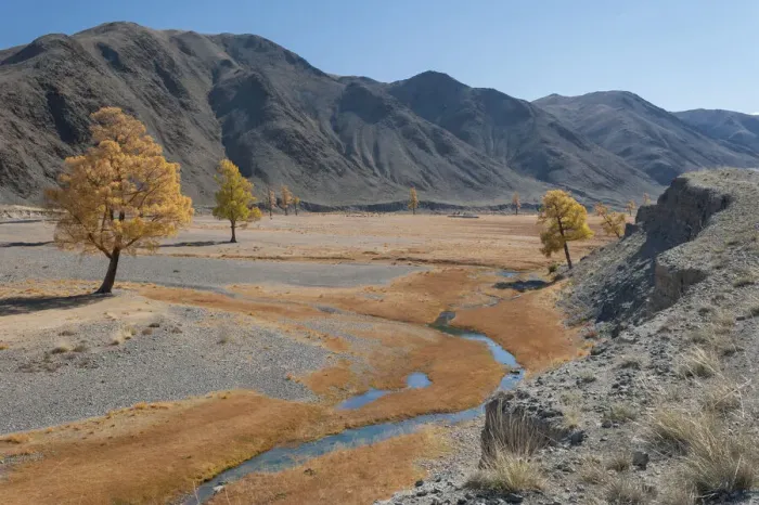 Framed Print : Autumn colour along meandering river bank, River Khovd, Altai Mountains, Bayan-Ulgii