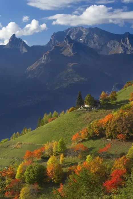 Framed Print : Autumn colours at Iserables above the Rhone Valley near Sion, la Valais, Switzerland Framed Print : Autumn colours at Iserables above the Rhone Valley near Sion, la Valais, Switzerland