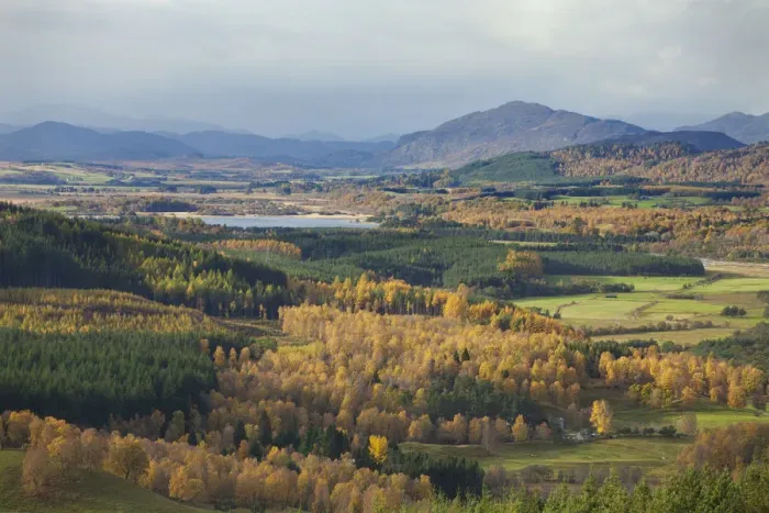 Framed Print : Autumn landscape with birch and pine woodland, Strathspey, Cairngorms National Park Framed Print : Autumn landscape with birch and pine woodland, Strathspey, Cairngorms National Park