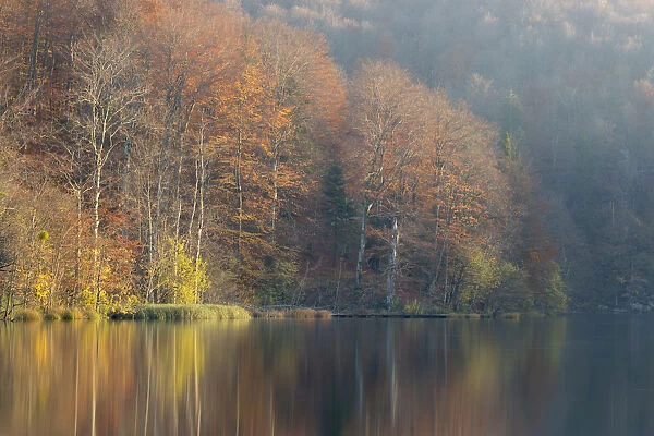 Autumnal reflections in the Upper Lakes, Plitvice Lakes National Park, Croatia. November 2015