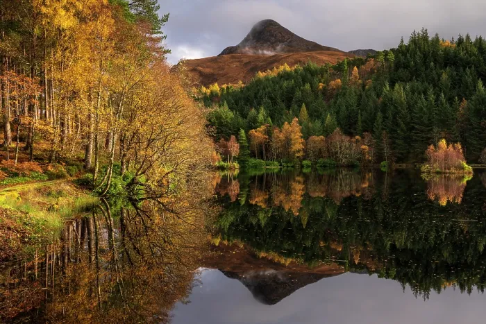 Framed Print : Autumnal woodland surrounding Glencoe Lochan, Glencoe, Scotland, UK. November, 2023 Framed Print : Autumnal woodland surrounding Glencoe Lochan, Glencoe, Scotland, UK. November, 2023