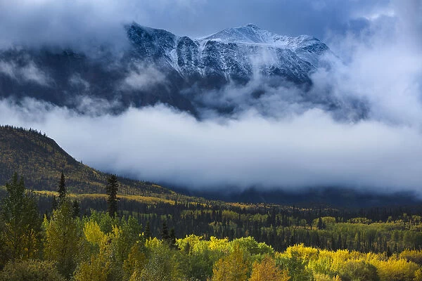Autumnal woodland and Young Peak surrounded by clouds, British Columbia, Canada, September 2013