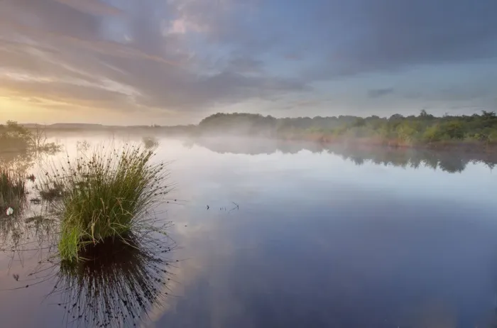 Framed Print : Ballynahone Bog at dawn, County Antrim, Northern Ireland, UK, June 2011 Framed Print : Ballynahone Bog at dawn, County Antrim, Northern Ireland, UK, June 2011