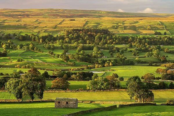 Barns and fields at dawn, Carperby, Yorkshire Dales, UK. October