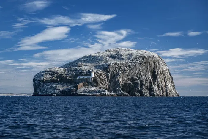Framed Print : The Bass Rock home to large Northern gannet (Morus bassanus) Firth of Forth, Scotland, UK Framed Print : The Bass Rock home to large Northern gannet (Morus bassanus) Firth of Forth, Scotland, UK