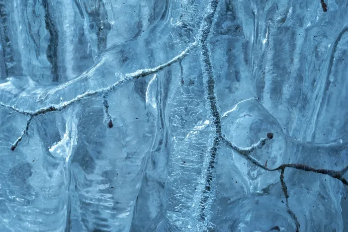 Framed Print : Beech (Fagus sylvatica) tree branches covered in ice from road surface water spray during winter storm, Surrey Hills AONB, Holmbury St Mary, Surrey, UK. February Framed Print : Beech (Fagus sylvatica) tree branches covered in ice from road surface water spray during winter storm, Surrey Hills AONB, Holmbury St Mary, Surrey, UK. February
