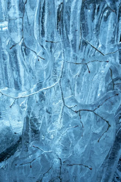 Framed Print : Beech (Fagus sylvatica) tree branches covered in ice from road surface water spray during winter storm, Surrey Hills AONB, Holmbury St Mary, Surrey, UK. February Framed Print : Beech (Fagus sylvatica) tree branches covered in ice from road surface water spray during winter storm, Surrey Hills AONB, Holmbury St Mary, Surrey, UK. February