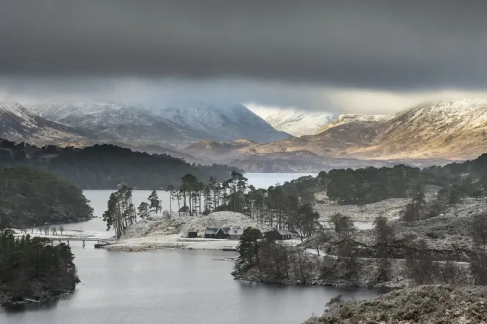 Framed Print : Birch (Betula pendula) and Scots pine (Pinus sylvestris) forest around Loch Affric Framed Print : Birch (Betula pendula) and Scots pine (Pinus sylvestris) forest around Loch Affric