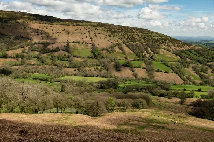 Framed Print : Black Hill / Cat's Back and the Olchon Valley viewed from the Black Mountains, showing hedges with mature trees and shrubs on the fyridd, Herefordshire, England, UK. May, 2024 Framed Print : Black Hill / Cat's Back and the Olchon Valley viewed from the Black Mountains, showing hedges with mature trees and shrubs on the fyridd, Herefordshire, England, UK. May, 2024