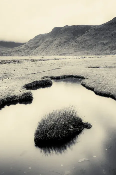 Framed Print : Black and white photograph of saltmarsh at Annat, Beinn Torridon, Scotland, UK, November