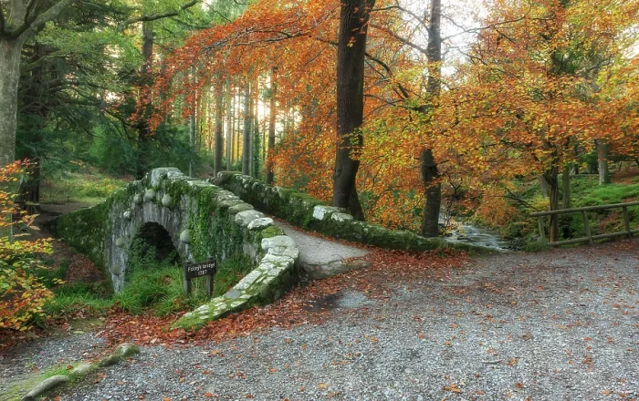 Framed Print : Bridge over Shimna River, Tollymore Forest Framed Print : Bridge over Shimna River, Tollymore Forest