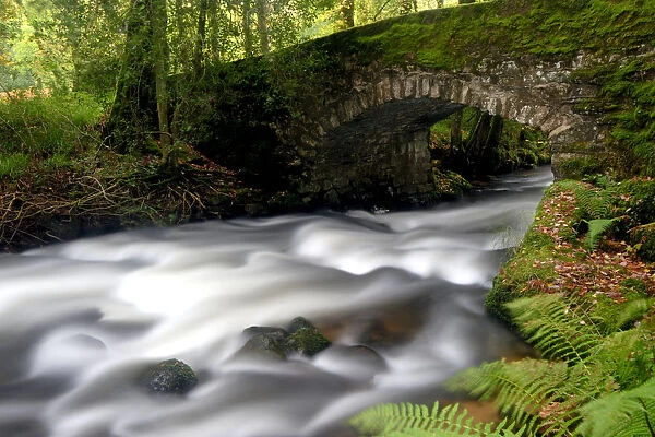 Bridge over the The River Dart near Buckland in the Moor, Dartmoor National Park, Devon