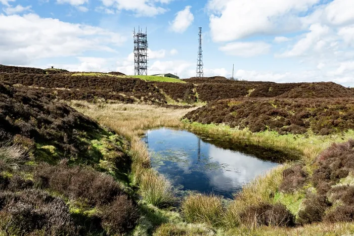 Framed Print : Brown Clee Hill, summit with transmitter masts and a created pond surrounded by Heather (Calluna vulgaris), the highest point in Shropshire, Shropshire Hills National Landscape Framed Print : Brown Clee Hill, summit with transmitter masts and a created pond surrounded by Heather (Calluna vulgaris), the highest point in Shropshire, Shropshire Hills National Landscape