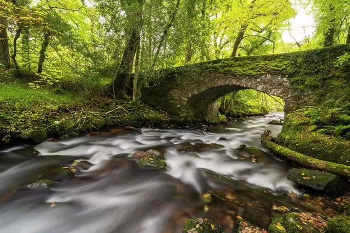 Framed Print : Buckland Bridge over River Webburn, flowing through woodland. Dartmoor National Park, England, UK. October 2020 Framed Print : Buckland Bridge over River Webburn, flowing through woodland. Dartmoor National Park, England, UK. October 2020