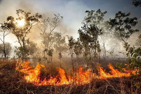 Bush fire triggered by lightning storm, Western Australia. December 2013
