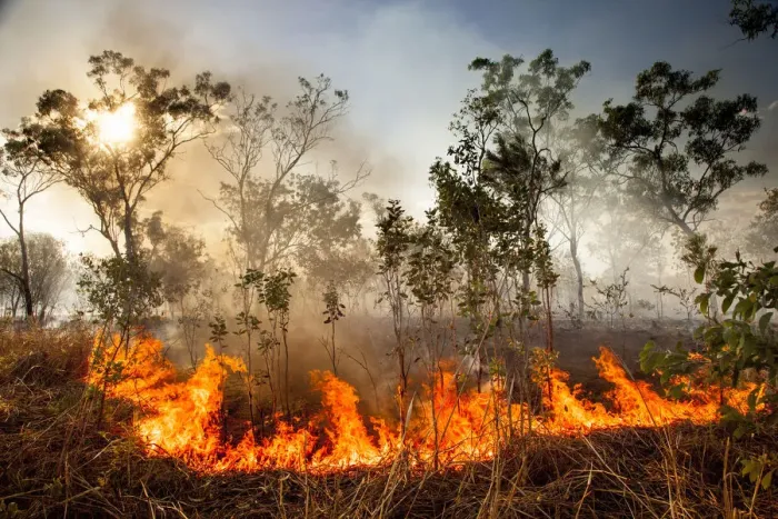 Framed Print : Bush fire triggered by lightning storm, Western Australia. December 2013 Framed Print : Bush fire triggered by lightning storm, Western Australia. December 2013