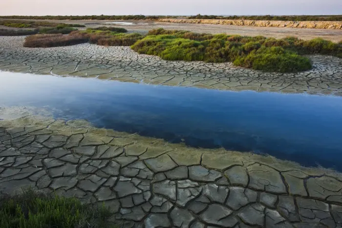 Framed Print : Canal with drought patterns near Etang du Fangassier, Camargue, France, May 2009 Framed Print : Canal with drought patterns near Etang du Fangassier, Camargue, France, May 2009