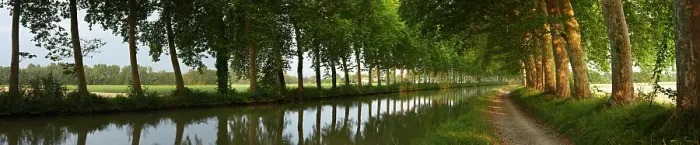 Framed Print : The Canal du Midi at dawn. Castelnaudary, Aude, Languedoc-Roussillon, France, July 2010 Framed Print : The Canal du Midi at dawn. Castelnaudary, Aude, Languedoc-Roussillon, France, July 2010