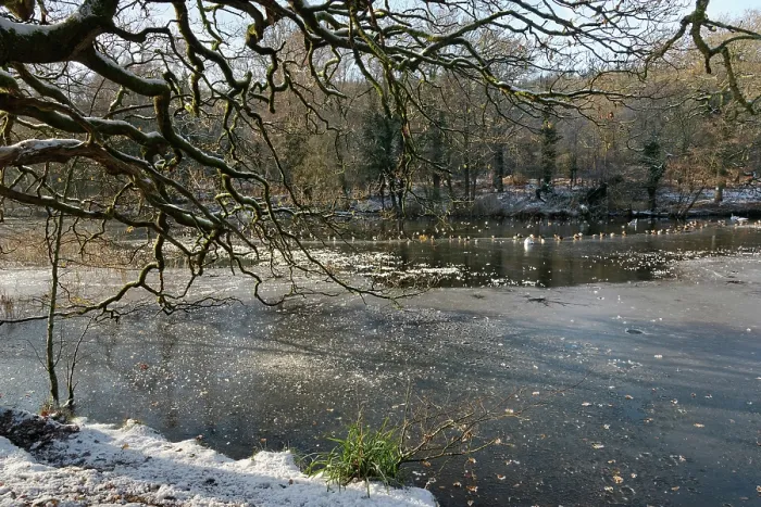 Framed Print : Cannop Ponds mostly frozen over with snow on margins, Forest of Dean, Gloucestershire, England, UK. December, 2022 Framed Print : Cannop Ponds mostly frozen over with snow on margins, Forest of Dean, Gloucestershire, England, UK. December, 2022