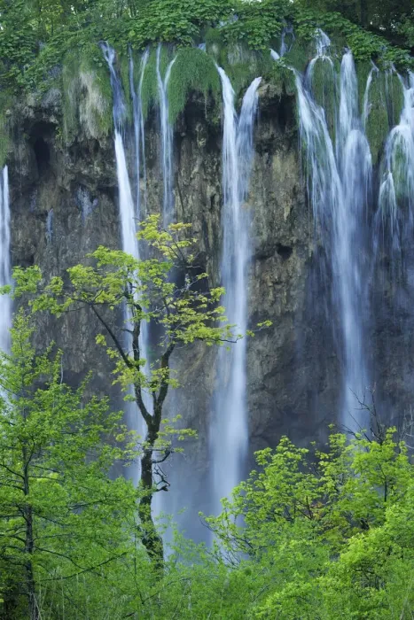 Framed Print : A cascade of waterfalls falling over a cliff in woodlands. Plitvice National Park Framed Print : A cascade of waterfalls falling over a cliff in woodlands. Plitvice National Park