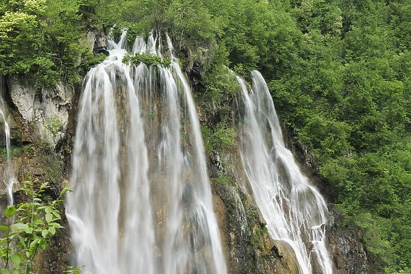 A cascade of waterfalls in woodlands. Plitvice National Park, Croatia, May 2010