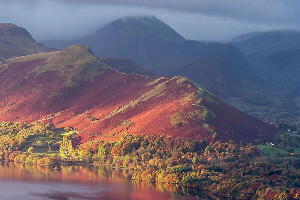 Catbells and the edge of Derwentwater bathed in early morning light and autumnal colours, Latrigg, Keswick, The Lake District, Cumbria, UK. November 2016