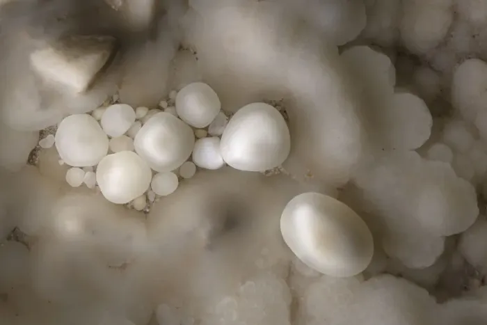 Framed Print : Cave Pearls, formed as dripping water rich in calcium salts deposits calcite around Framed Print : Cave Pearls, formed as dripping water rich in calcium salts deposits calcite around